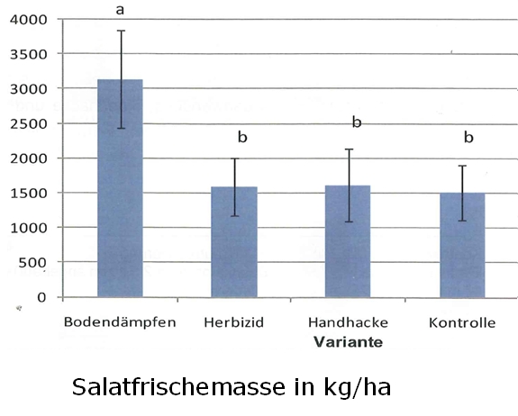 Fresh mass of salad in kg/ha in comparisson to soil steaming (Bodendämpfung), herbicide (Herbizid), hand hoe (Handhacke) and control area